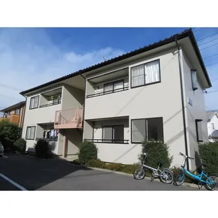 サンフラワー寿の画像