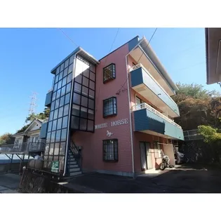 ホワイトホース【201号室】の外観