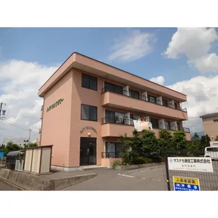 ハイツサンフラワー【305号室】の外観