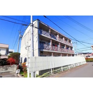 サラーム征矢野の画像