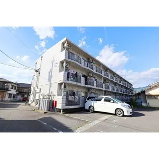 クリエ並柳の画像