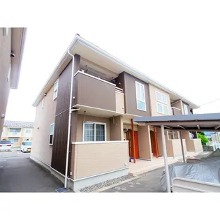 モルティ カミジマCの画像