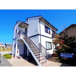 キヨコランテAの画像