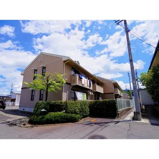 セレクト スミサカの画像