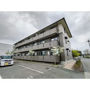 ハイカムール城【205号室】の外観