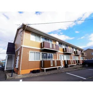 サプリングの画像