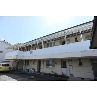 ドミアプリコットの画像