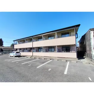 AURORA SHIMADAの画像