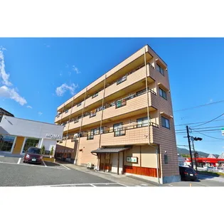 ソフィアケートカイトの画像