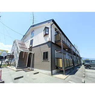 SURPLUS TWOパーシモンの画像
