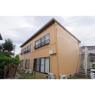 オーロラ上田の画像