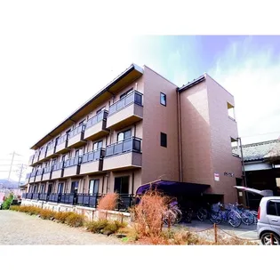 ガラ プシケの画像