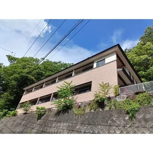 ヤシャルの画像