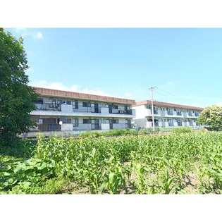 市村コーポ第一【203号室】の外観
