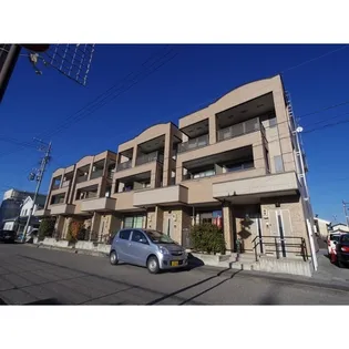 ネオグレイス スエトシの画像