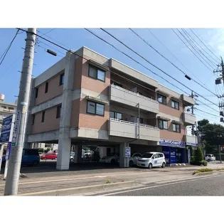 カーサ オクシブシライタの画像