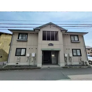 ディアスソリメの画像