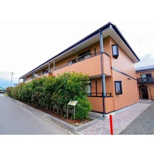 ムーングローリAの画像