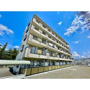 FINE OASIS AMYYの画像