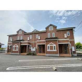 プラシードの画像