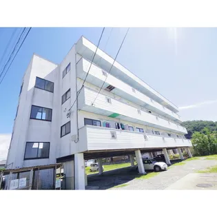 パインパレスの画像