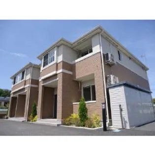 ヒルズ アイビーの画像