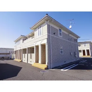 プリムローズの画像