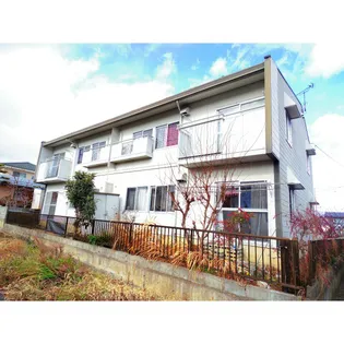 タウニィ桜の画像