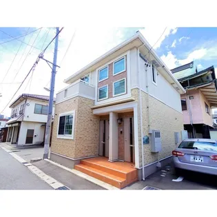 ワイズ アドニスIIの画像