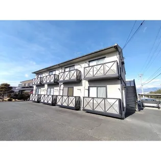 にれの木の画像