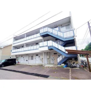 サンライズドリームの画像