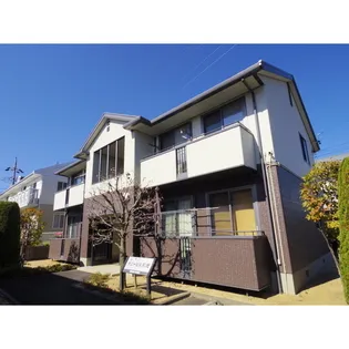 サニーヒル桔梗の画像