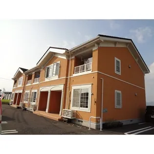 グレイスエムの画像