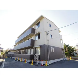 レイシス若里の画像