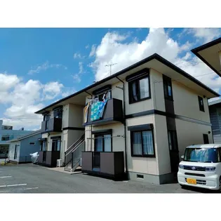 フェリス バレーナBの画像