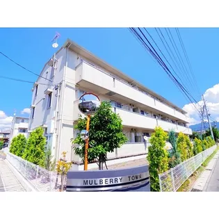 マルベリータウン シルクの画像