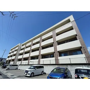 クインスの画像