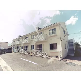 恵グレースの画像