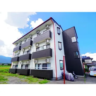 ナチュラルパレスⅢ【305号室】の外観
