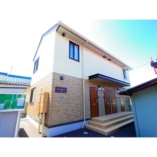 シャロンの画像