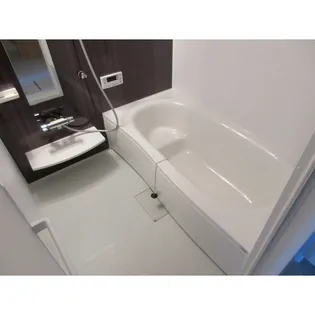 ラムール・シェモア【201号室】の風呂