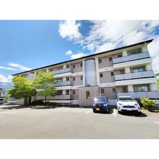 ハイツルピナスの画像