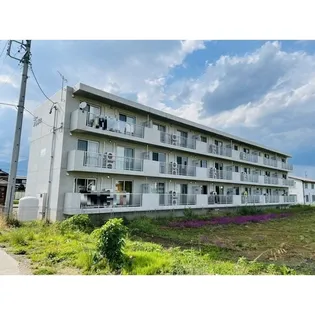 ニューアルプスの画像