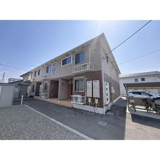 ルピナスの画像