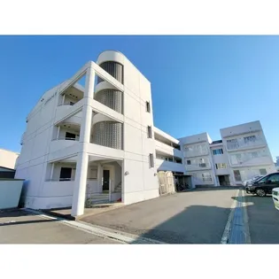 メゾンハナムラ【313号室】の外観