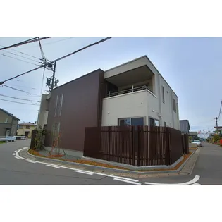 ブリューテ並柳の画像