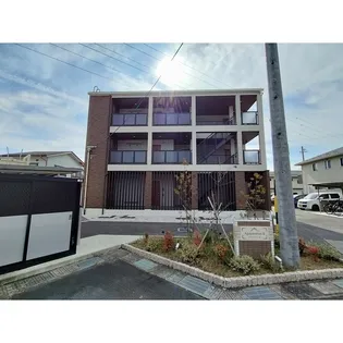 アガパンサス IIの画像