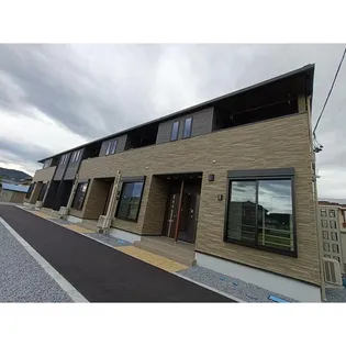 シャインMの画像