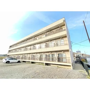 A ONE 水押の画像