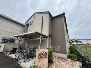 ペガサスの画像